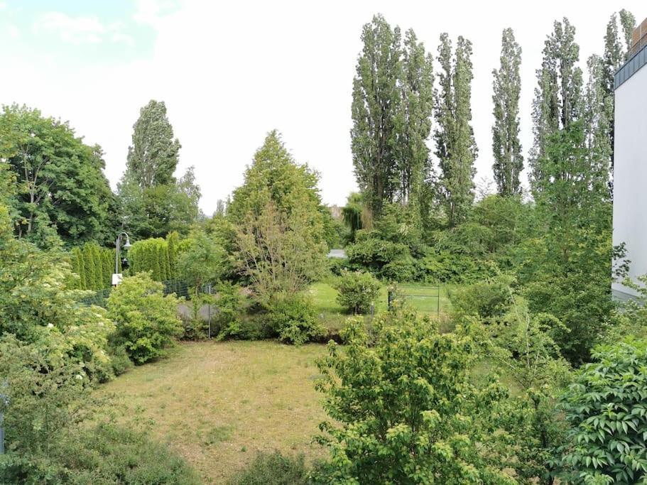 Schoene Und Ruhige Wohnung Direkt An Der Mosel كوبلنس المظهر الخارجي الصورة